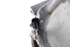 Bild von Klimakompressor Nissan Juke aus 2014 zu 2019 | 926003ZL1A - M118A250937 - CALSONIC KANSEI
