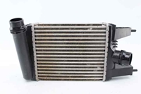 Immagine di Radiatore aria di alimentazione / Intercooler Nissan Juke da 2014 a 2019 | 144613ZU1B