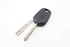 Picture of Canhão de ignição Peugeot 308 Sw de 2013 a 2017 | 9673257480