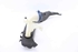 Picture of Windscreen Washer Fluid Tank Peugeot 308 Sw from 2013 to 2017 | 9801927380 - 9800715580