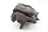 Imagen de Pinza de freno delantera izquierdo Toyota Auris de 2007 a 2010 | Y01985 - BOSCH