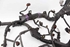 Bild von Elektroinstallation im Motorraum Toyota Auris aus 2007 zu 2010 | 8213902170