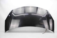 Imagem de Capot Citroen C3 de 2009 a 2013 | 7901R1 - 