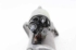 Bild von Anlasser Renault Megane IV Fase I aus 2016 zu 2019 | 233000603R - 233004868R - 0001170629 - BOSCH