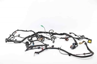 Imagen de Instalación eléctrica compartimiento del motor Citroen C3 de 2009 a 2013 | 9671294880 - 9688063580