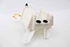 Picture of Windscreen Washer Fluid Tank Toyota Yaris from 2014 to 2017 | 
